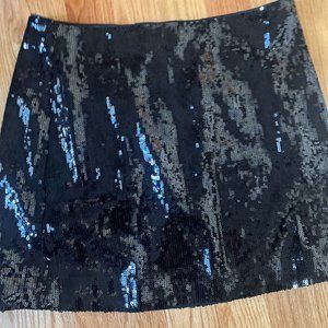 J Crew Sequin Mini Skirt